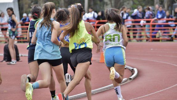 Juegos de la Araucanía: arranca la actividad en cuatro sedes