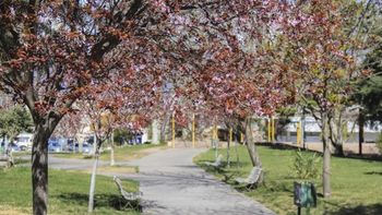 el pronostico del tiempo anticipa una tarde primaveral en el alto valle