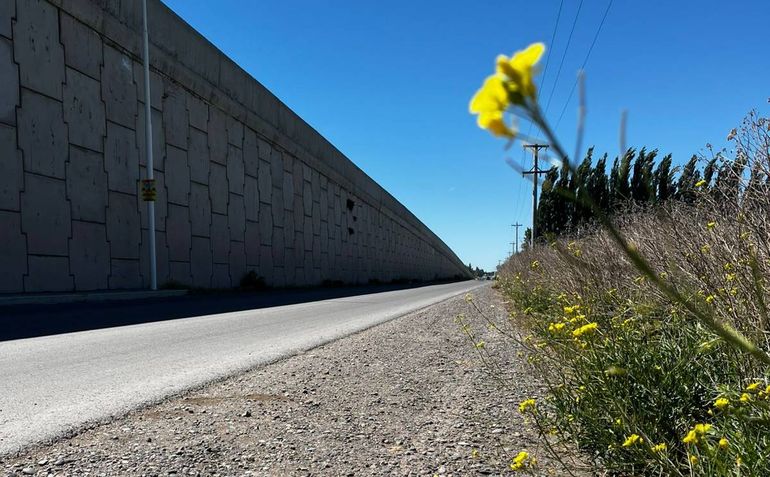 Un tramo del corredor rural sobre la ruta 22. El proyecto tiende a florecer... Un tramo del corredor rural sobre la ruta 22. El proyecto tiende a florecer...