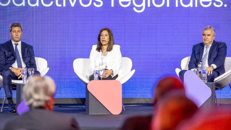 Carreras expuso el plan de hidrógeno verde ante la UIA