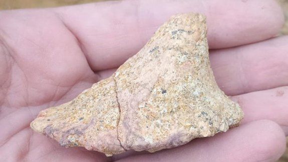 Encuentran en Roca restos de distintos tipos de dinosaurios desconocidos