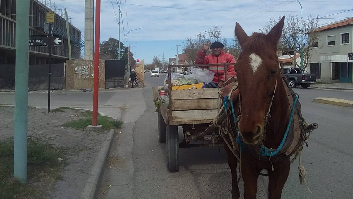 El temor del gaucho de 83 años que sale a laburar a caballo