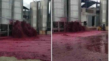 viral: se rompio un tanque y derramo 50 mil litros de vino viral: se rompio un tanque y derramo 50 mil litros de vino