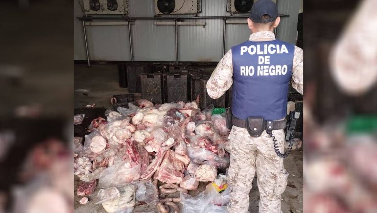 Secuestran 3 toneladas de carne en mal estado en Cipolletti y Oro