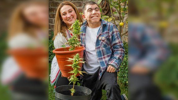 Robaron plantas de cannabis medicinal que ayudan a Giuliano
