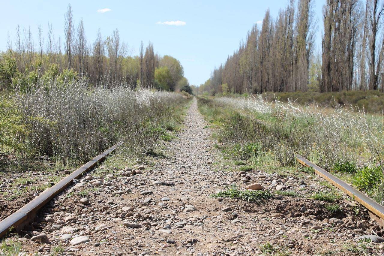Los sitios de los femicidios no recuerdan a las víctimas. Cipolletti, una ciudad que pierde la memoria.