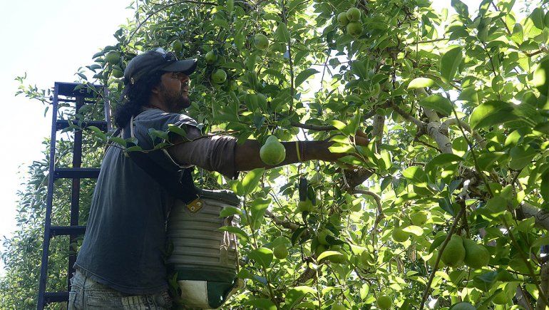 Chacareros no quieren saber nada con pagar por zona desfavorable