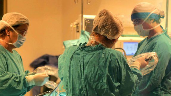 Proponen adherir a la Ley de Protección al Personal de Salud ante la pandemia