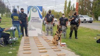 condenaron a la audaz banda de los camioneros narcos condenaron a la audaz banda de los camioneros narcos