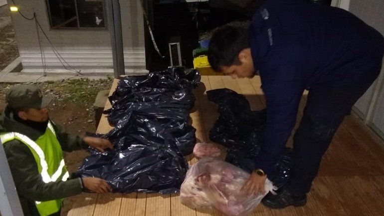 Decomisaron carne sin refrigeración que iba a ser comercializa en Cipolletti
