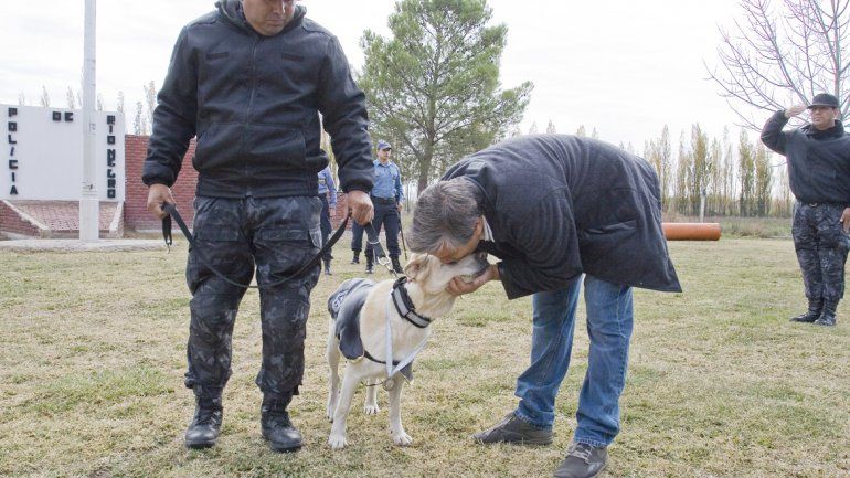 Veterinarios y entrenadores homenajearon a los perros policía.