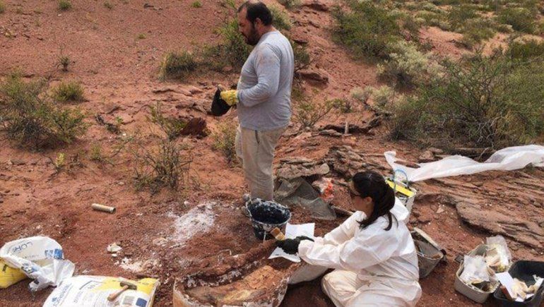 El mundo dino pone sus ojos en Neuquén