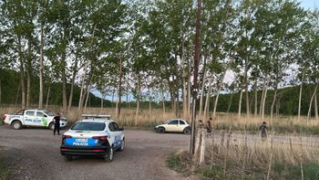 Los muchachos fueron apresados con el ternero en el baúl del Ka y dijeron que lo traían de la chacra de un familiar. Otro vecino dijo que el animal era de él. 