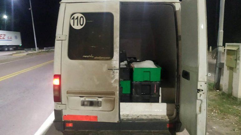 Intentaban contrabandear 800 kilos de pescados y los atraparon