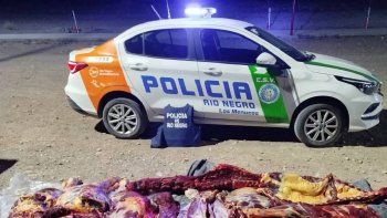 La Policía descubrió carne de caballo de una faena clanestina.
