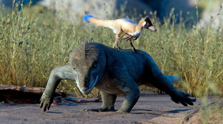 Antes del hallazgo, se creía que su tamaño pequeño se debía a su dieta herbívora. Antes del hallazgo, se creía que su tamaño pequeño se debía a su dieta herbívora.