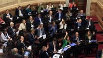 Los senadores finalmente tendrán el aumento que dejará su dieta por encima de los $9 millones.