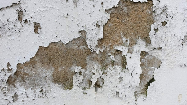 Cómo recuperar una pared carcomida por la humedad: el paso a paso sin llamar a un albañil