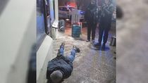 El episodio ocurrió en una casa de calle Elordi, ubicada frente a la sede de Prefectura. Foto: Gentileza.