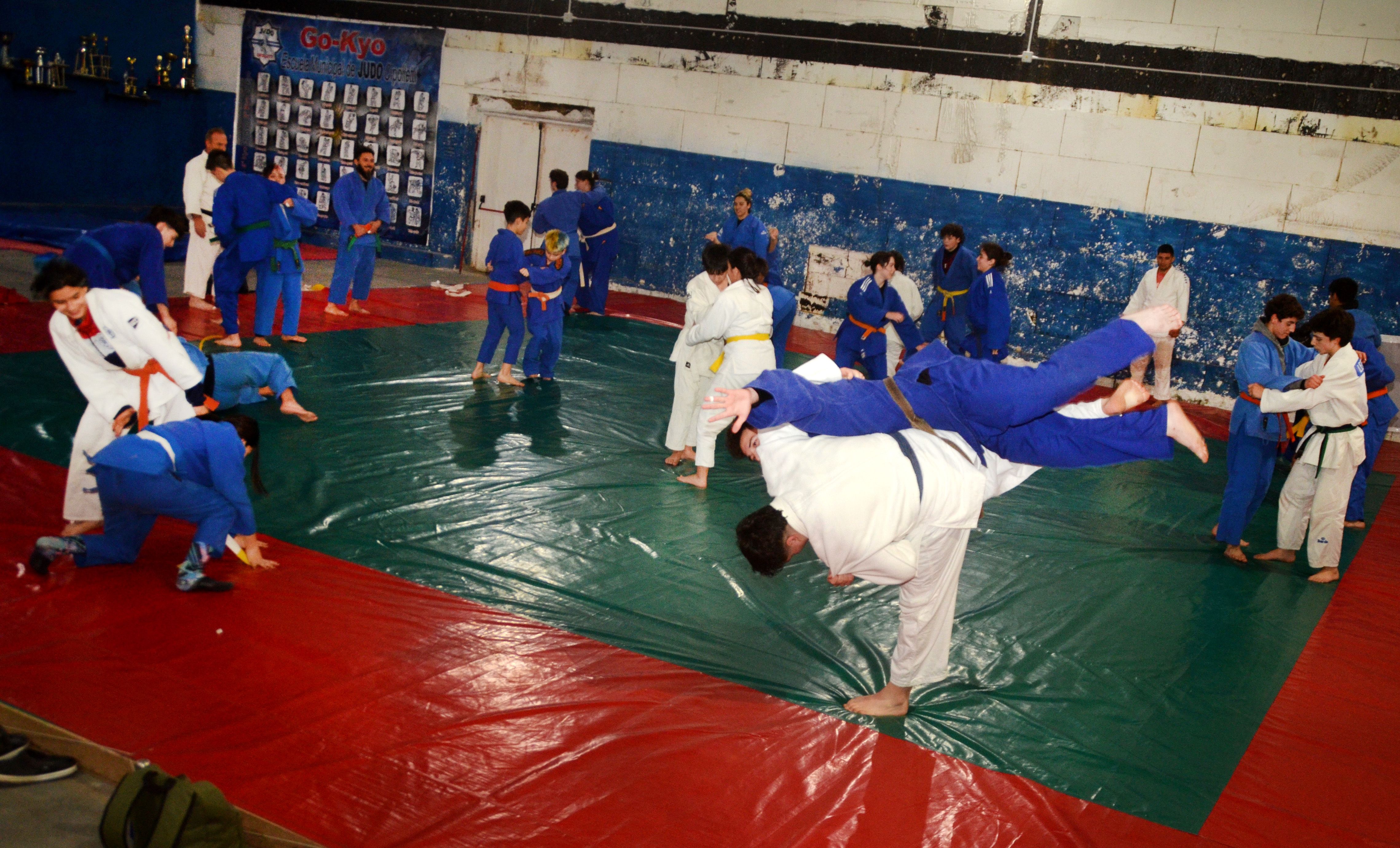 El Judo una forma de vida que se hace fuerte en Cipolletti