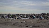 Todos los días del año, el basural a cielo abierto de Cipolletti recibe cerca de 270 toneladas que son enterradas.