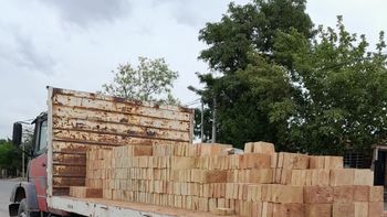 La Justicia de Río Negro condenó al conductor del camión, al propietario registral y a la aseguradora del rodado. La Justicia de Río Negro condenó al conductor del camión, al propietario registral y a la aseguradora del rodado.