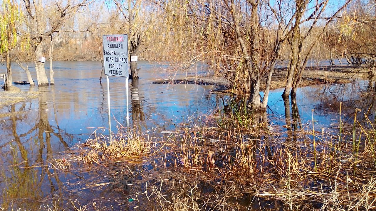 A escasos metros de la casa de Alicia, el río corre, a veces más cerca y otras más lejos.