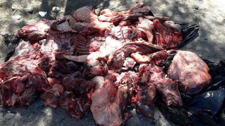 Decomisaron 450 kilos de carne ilegal escondida en dos camionetas de alta gama
