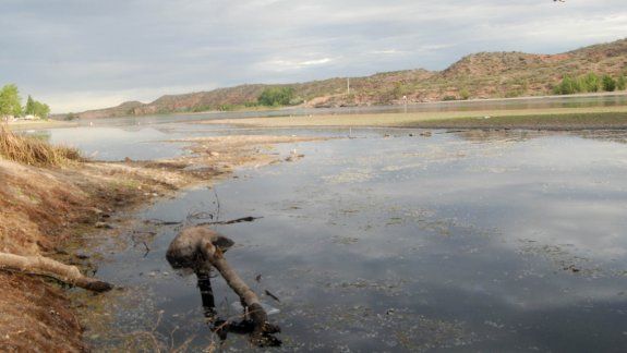 Nuevas pericias por la contaminación del río.&nbsp;