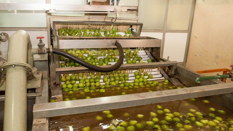 La fruta del valle, lo que más encarece camino a la góndola