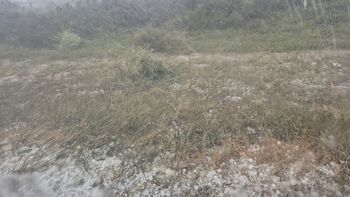 La lluvia intensa podría generar pérdidas en una temporada clave para las exportaciones de la Norpatagonia.