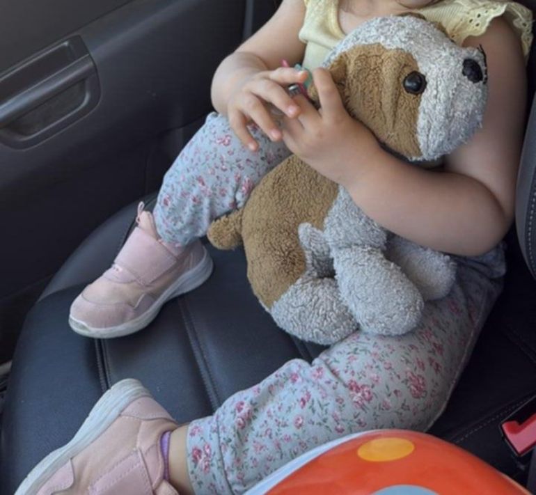 Se trata de un peluche que acompa&ntilde;a a Almita desde peque&ntilde;a.&nbsp;