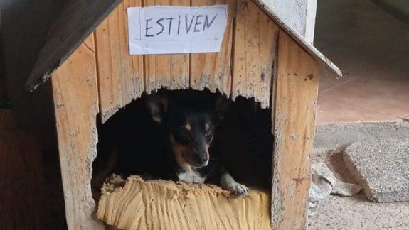 Le robaron el perro a la Brigada Rural de Paso Córdoba