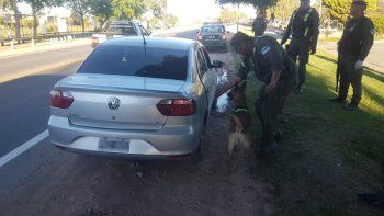 secuestran marihuana en cutral co y zapala