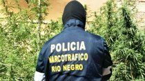 narcotrafico: colombianos daran un curso en rio negro