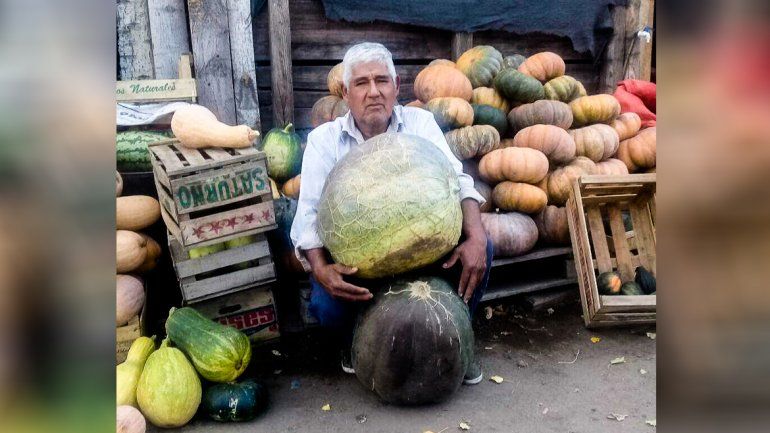 La historia del productor de Plottier que cosechó un zapallo de 45 kilos