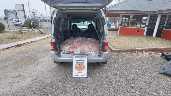 Lo atraparon transportando 25 costillares de manera ilegal