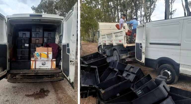 Los frutos de mar eran trasladados en un furgón que no estaba habilitado y que además no cumplía con las condiciones sanitarias.&nbsp;