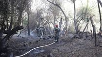 guarda de ceniza: hay fuego bajo 80 centimetros de tierra