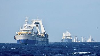 Si la Legislatura aprueba la iniciativa, Chubut daría un paso decisivo hacia una pesca más ordenada, transparente y sostenible. | LMCipolletti.com Si la Legislatura aprueba la iniciativa, Chubut daría un paso decisivo hacia una pesca más ordenada, transparente y sostenible.