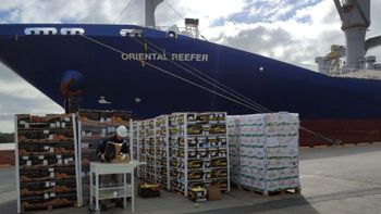Los países del hemisferio sur exportaron más de 2,6 millones de toneladas de fruta fresca a Europa en 2025 y temen que los cambios regulatorios afecten el acceso al mercado comunitario. | LMCipolletti.com Los países del hemisferio sur exportaron más de 2,6 millones de toneladas de fruta fresca a Europa en 2025 y temen que los cambios regulatorios afecten el acceso al mercado comunitario.