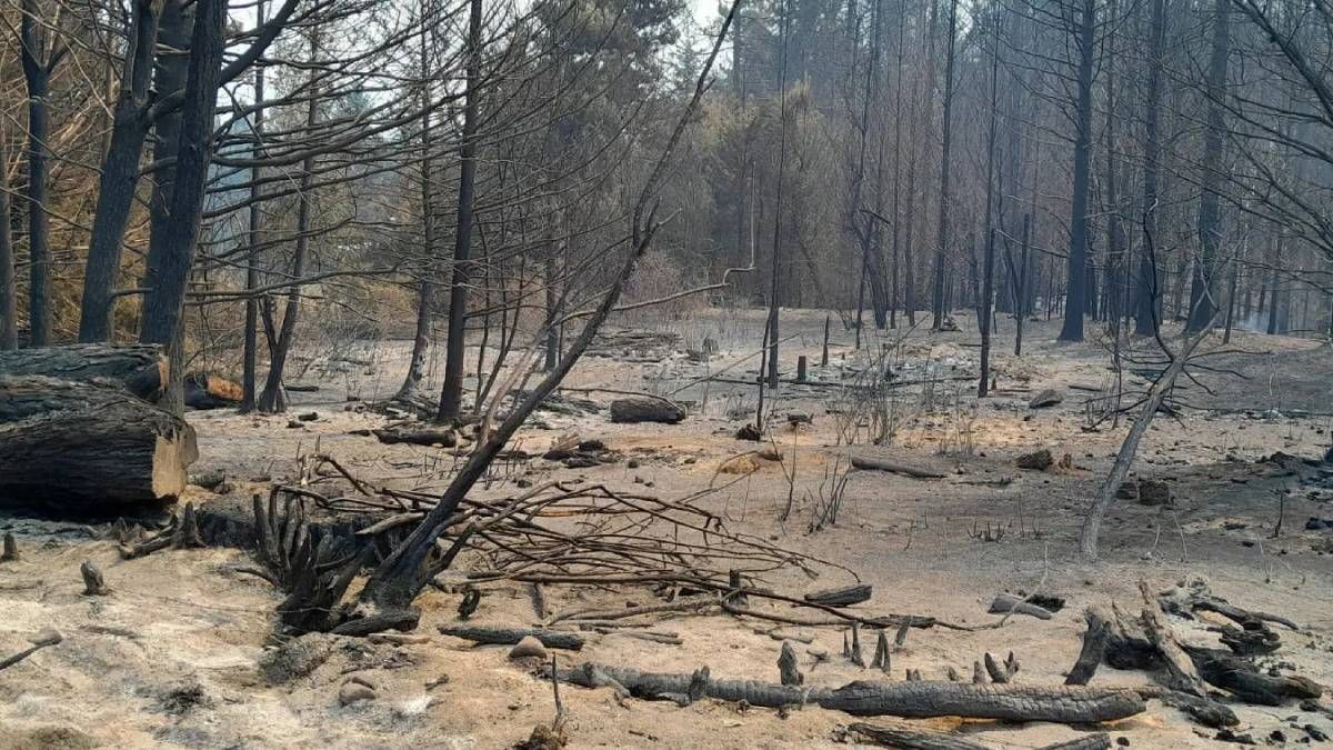 Dolor, destrucción y desazón en la tierra arrasada por el fuego.