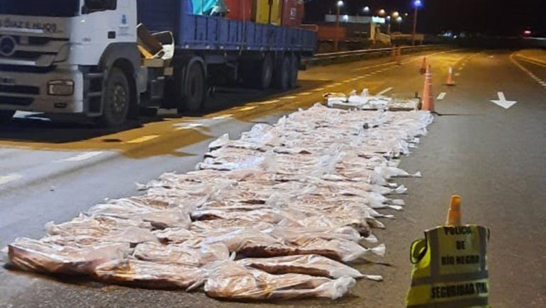 Ruta 22: decomisaron más de 1400 kilos de carne de contrabando y en mal estado