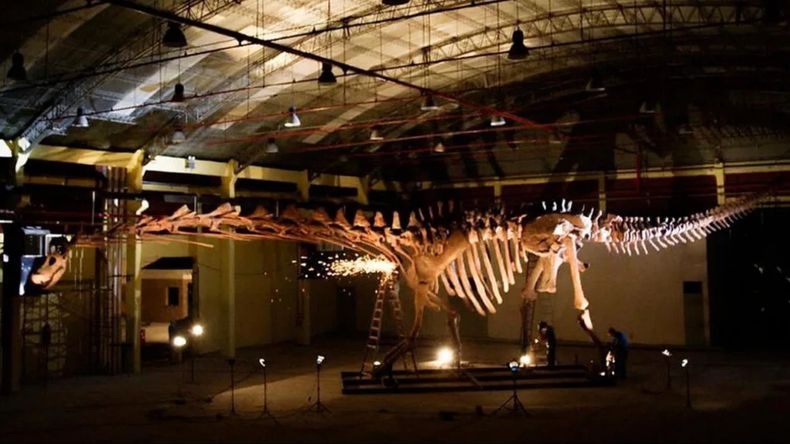 El museo MEF de Trelew, y el dinosaurio más grande del mundo.