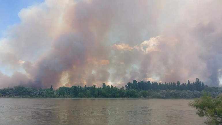 1.750 hectáreas ya fueron consumidas por el fuego en Guardia Mitre.