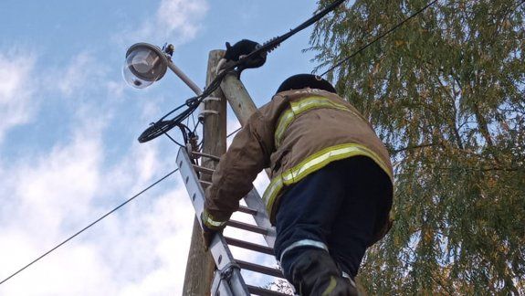 Bomberos héroes rescataron a una gato atrapado en las alturas