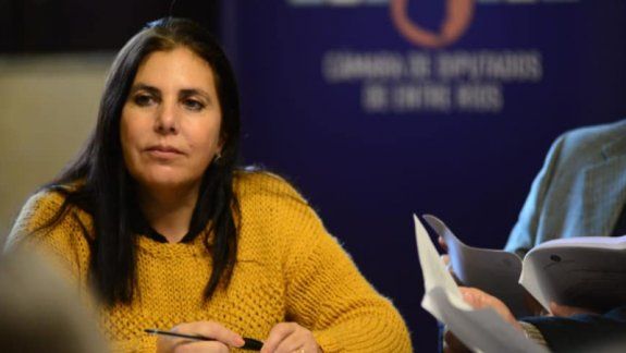 Piden sacar armas a integrantes de fuerzas de seguridad&nbsp;