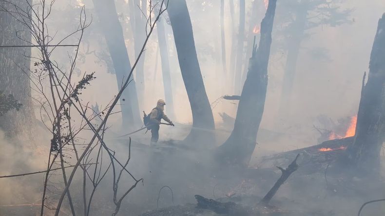 Cómo continúan los incendios forestales en Parques Nacionales