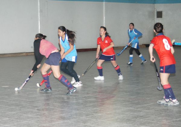 Los Leones ahora juegan al hockey