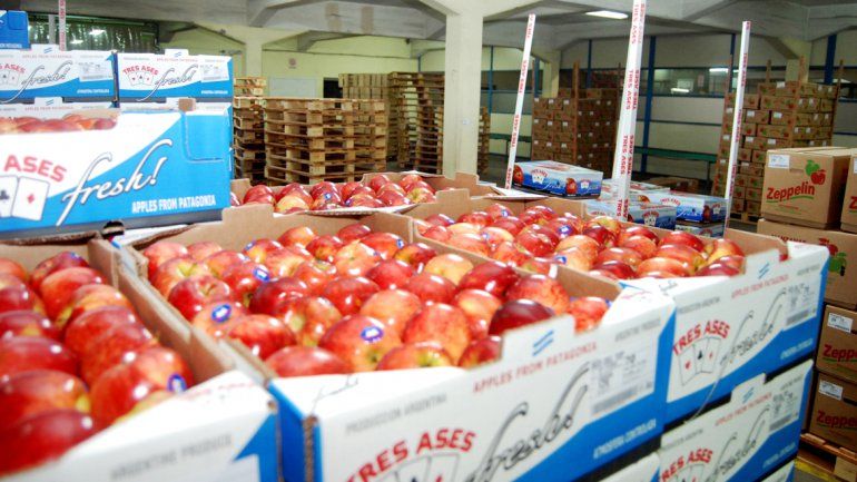Cada vez más manzanas quedan en los frigoríficos sin poder venderse.